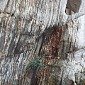 DSCF0536.JPG