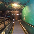 騙錢大道