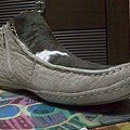麥坎納巴塞隆納多芬灰鞋05.jpg