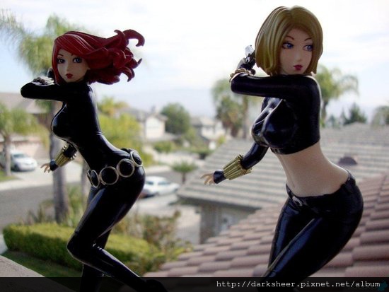 Bishoujo_BlackWidow1DSC00357-550x.jpg