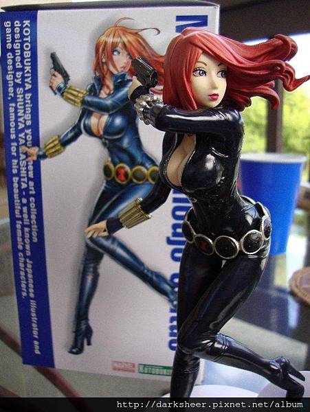 Bishoujo_BlackWidow1DSC00364-550x.jpg