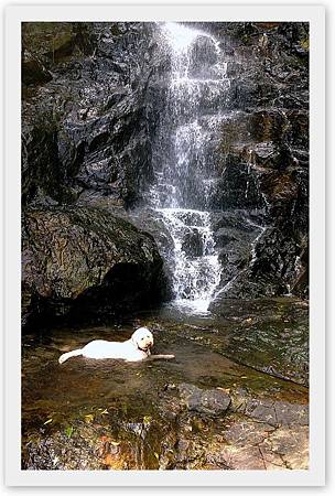 2015 Old Peak 06 2015 Old Peak 06
