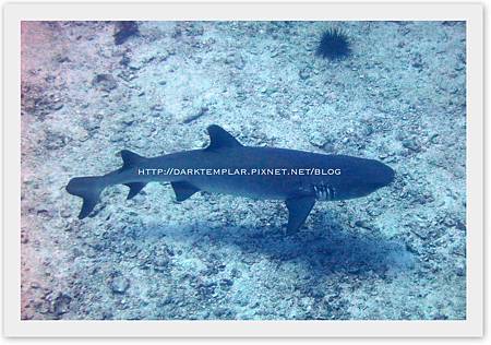 2015 Seychelles 01 2015 Seychelles 01