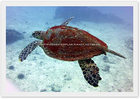2015 Seychelles 02 2015 Seychelles 02