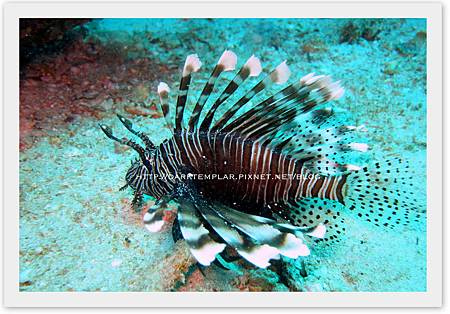 2015 Seychelles 03 2015 Seychelles 03