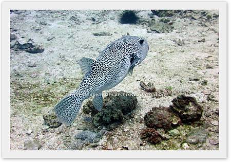 2015 Seychelles 04 2015 Seychelles 04