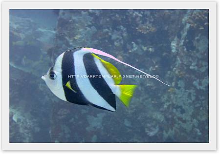 2015 Seychelles 05 2015 Seychelles 05