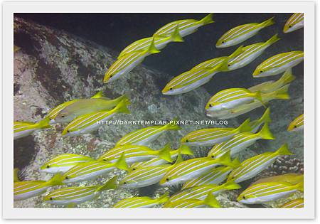 2015 Seychelles 06 2015 Seychelles 06