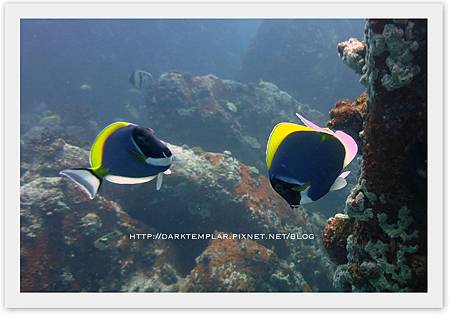 2015 Seychelles 07 2015 Seychelles 07
