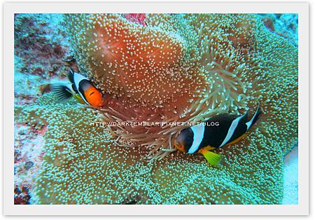 2015 Seychelles 08 2015 Seychelles 08