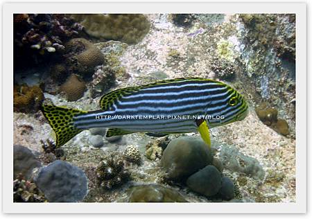2015 Seychelles 09 2015 Seychelles 09