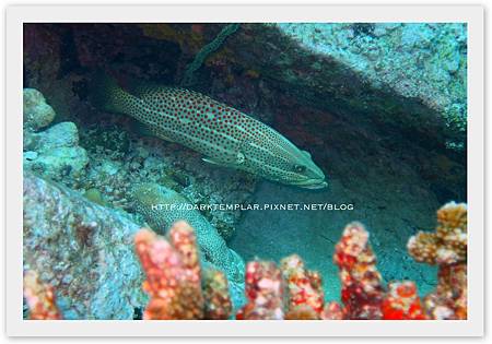 2015 Seychelles 10 2015 Seychelles 10