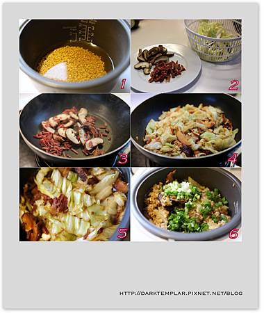 2016 Cabbage Rice 02 2016 Cabbage Rice 02