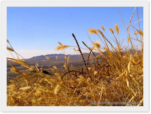 Inner Mongolia (13).jpg Inner Mongolia (13).jpg