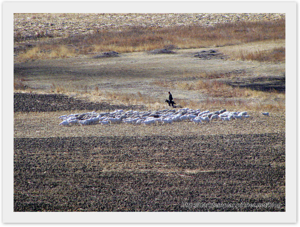 Inner Mongolia (17).jpg Inner Mongolia (17).jpg