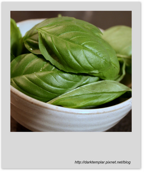 Basil & Onion with Shrimps (2).jpg Basil & Onion with Shrimps (2).jpg