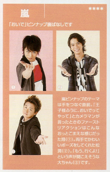 ARASHI 25.jpg