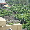 我想推塩酥雞的攤位去牠住處