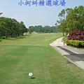 信誼高爾夫球場 IN 第12洞  PAR 4  438碼  難度4