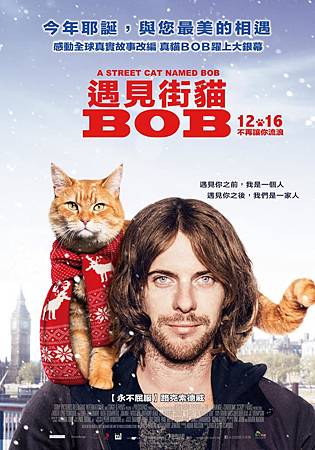 遇見街貓BOB 遇見街貓BOB