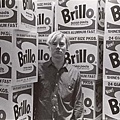 Andy Warhol-brillo box.jpg