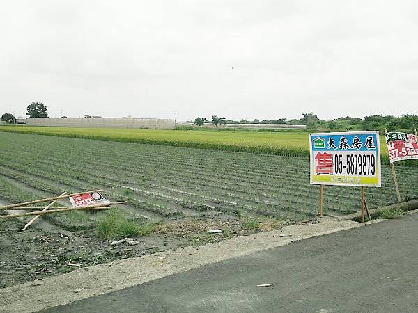 25米路惠來厝農地_9796.jpg