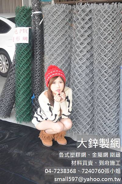 鍍鋅菱形網,包覆PVC塑膠菱形網,夌形網,大鋅..製網 鍍鋅菱形網,包覆PVC塑膠菱形網,夌形網,大鋅..製網