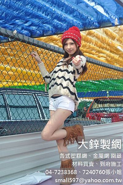 16目防蟲網,防蚊網diy,紗窗網32目,大鋅製網 16目防蟲網,防蚊網diy,紗窗網32目,大鋅製網