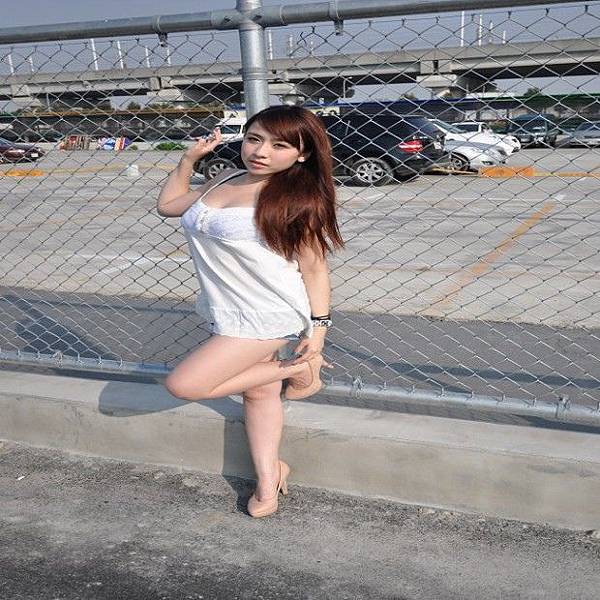 防風網,木瓜網32目,防風網園藝,大鋅製網 防風網,木瓜網32目,防風網園藝,大鋅製網