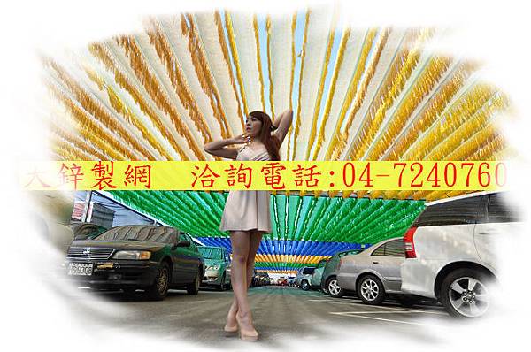 針織黑網, 蘭花網隔熱,大鋅製網 針織網百吉網 針織黑網, 蘭花網隔熱,大鋅製網 針織網百吉網