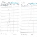 106年10月(3)有機蔬菜進貨單-大新.jpg