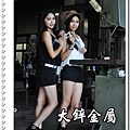 焊接鋼線網,點焊鋼絲網,點焊鋼絲網價格