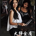 焊接鋼線網,點焊鋼絲網,點焊鋼絲網價格