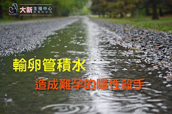 輸卵管積水.jpg 輸卵管積水.jpg