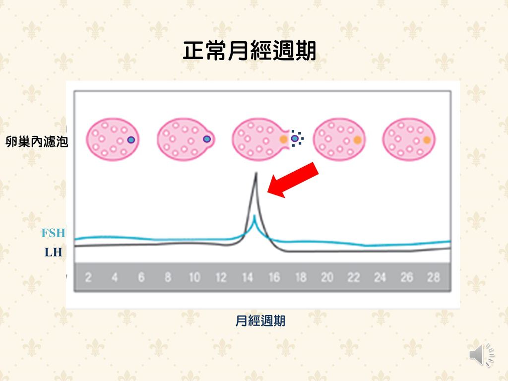 投影片2.JPG