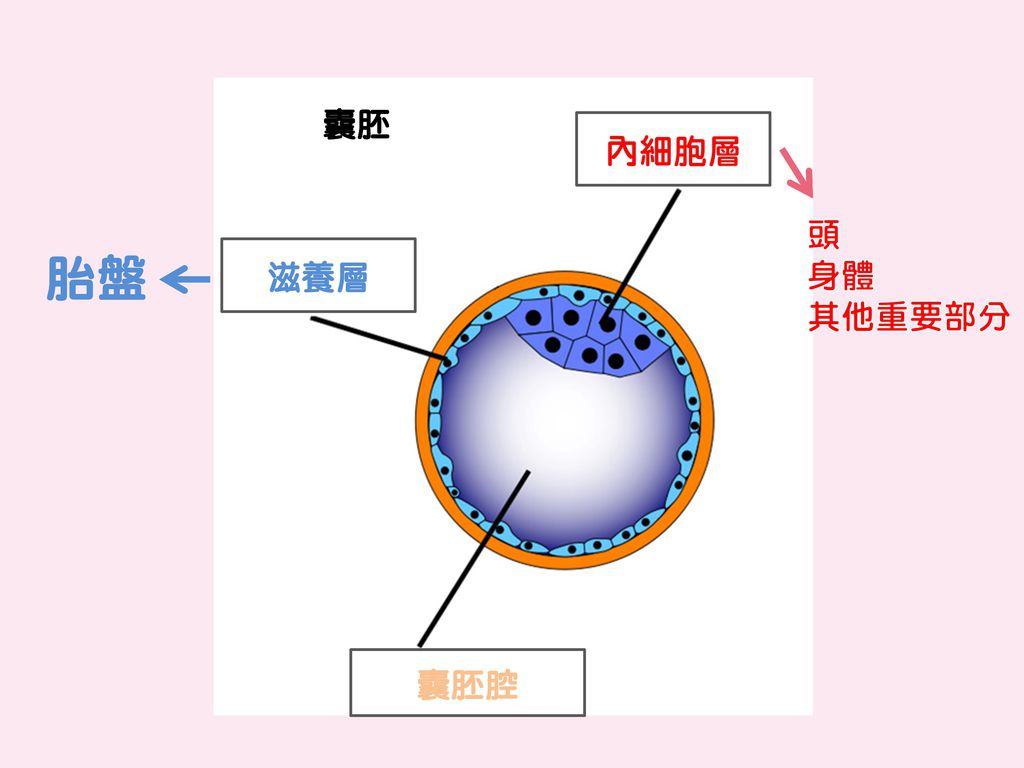 投影片2.JPG 投影片2.JPG