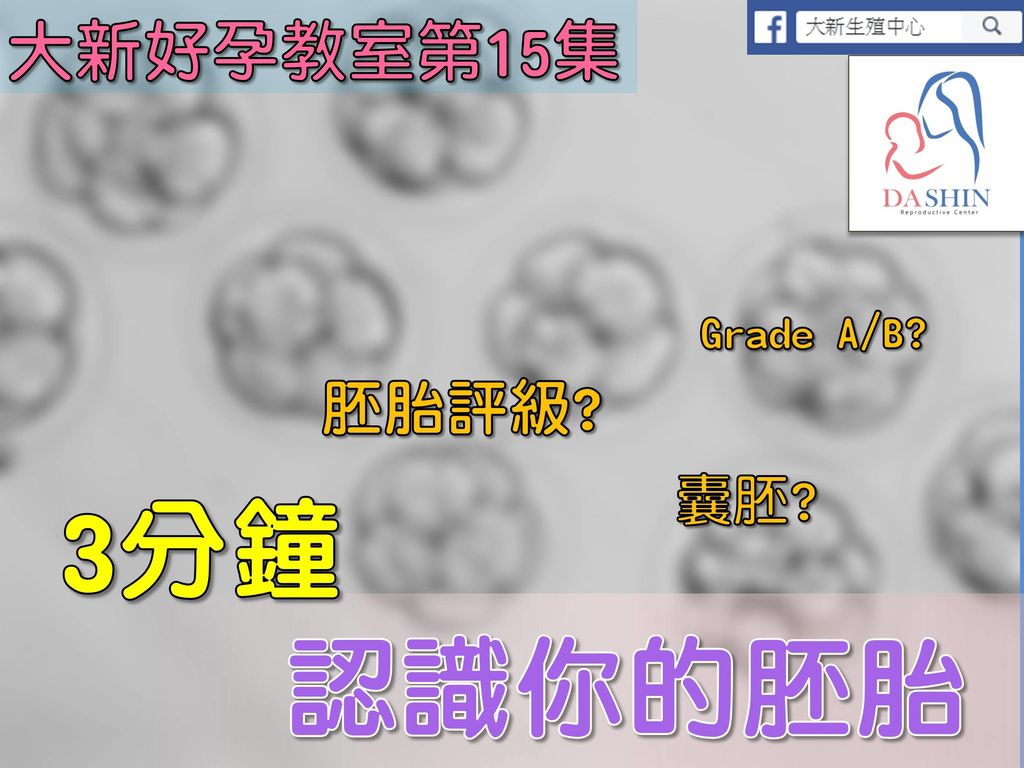 封面2.jpg 封面2.jpg