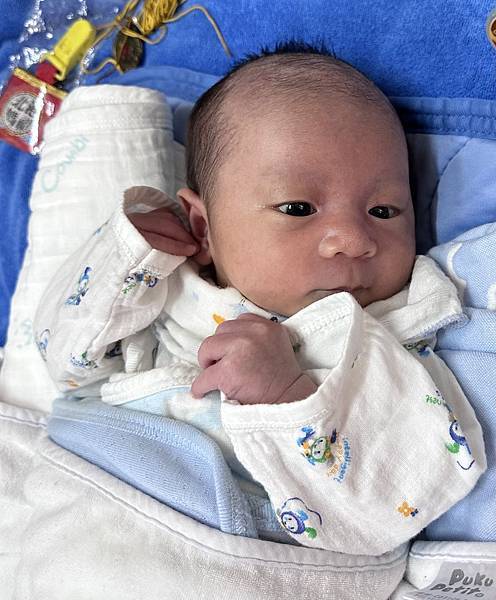 【成功案例分享】不孕一年多，AMH 4.38，植入一顆D5囊