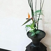 供佛禪花教學