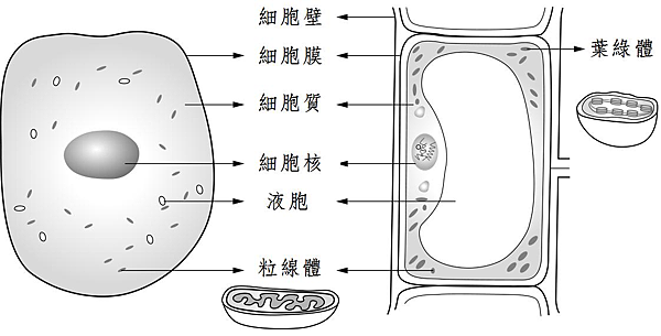 未命名.png