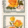 stamp28.jpg