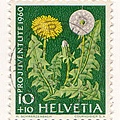 stamp35.jpg