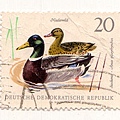 stamp39.jpg