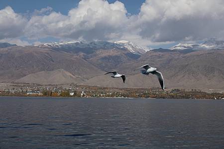 22553370_10212197726232139_6399661318388700834_o.jpg 22553370_10212197726232139_6399661318388700834_o.jpg