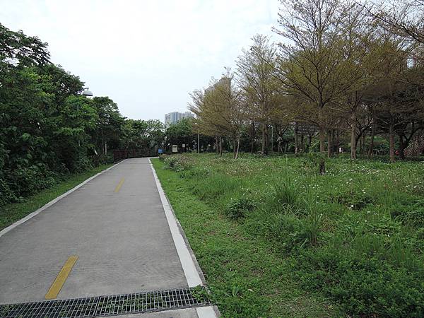 照片 105.jpg
