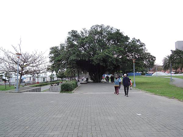 照片 141.jpg