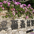 桃園虎頭山公園SANY4769.JPG