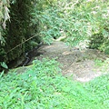 IMG_4068.JPG