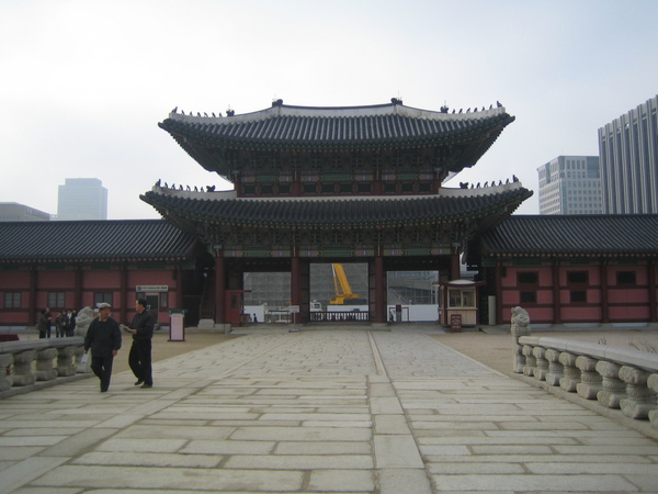 照片 195.jpg
