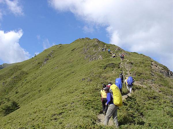 登上合歡山.JPG